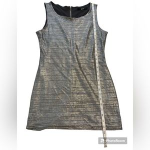 Shiny silver sleeveless top. Size large.